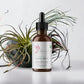Revitalizing Fresh Mint Tincture - 2250 MG of Broad Spectrum CBD